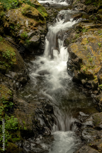 Small Cascade On Canyon Creek In Olympic