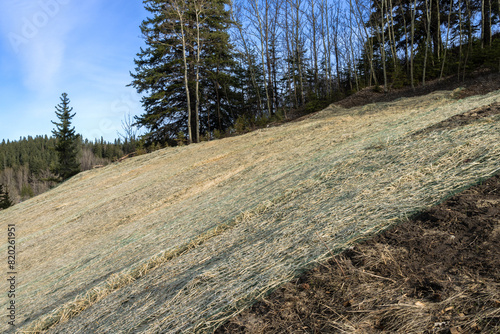 Roadside slope erosion control with single net  blanket installed on ground to protect from weeds and water erosion