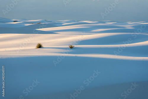 Smooth Dunes Disppears Into The Distance of White Sands © kellyvandellen
