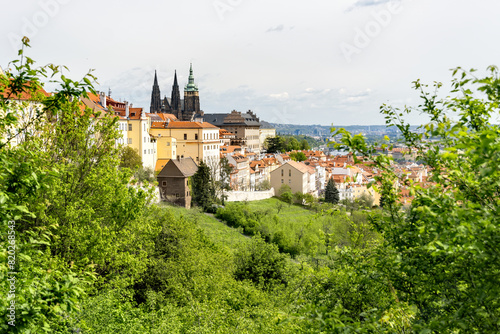 Prague Castle, seat of the Czech President. View from the park with spring flowering trees.