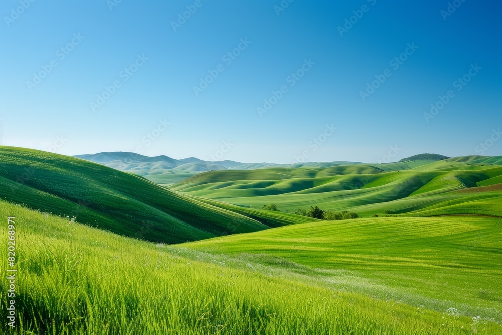 Peaceful Landscape of Rolling Hills and Meadows