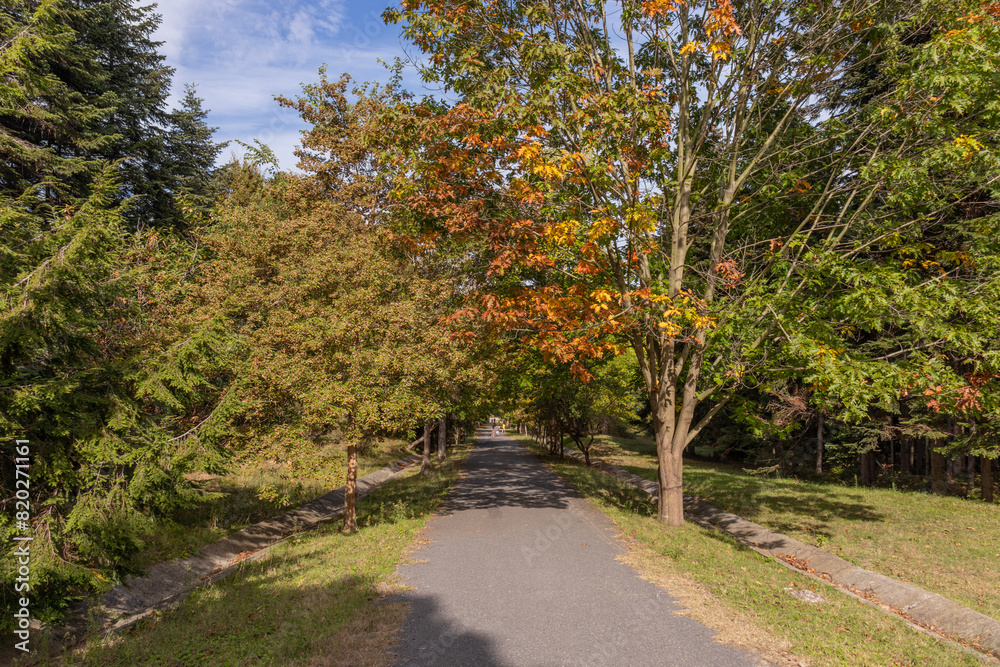 Naklejka premium Path or road in Atatürk Arboretum, a beautiful view among the greenery
