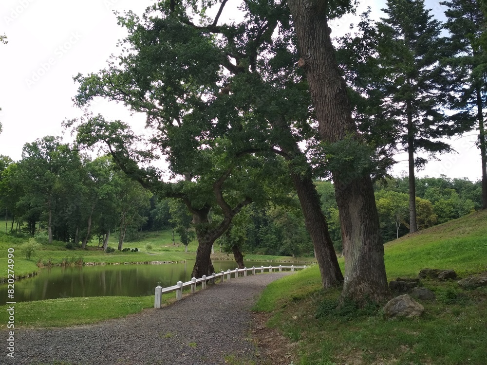 trees in the historic park by a lake trees in the historic park by a lake