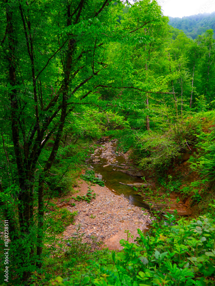 Obraz premium golderesi waterfall and forestroad are so beautifull in spring., 