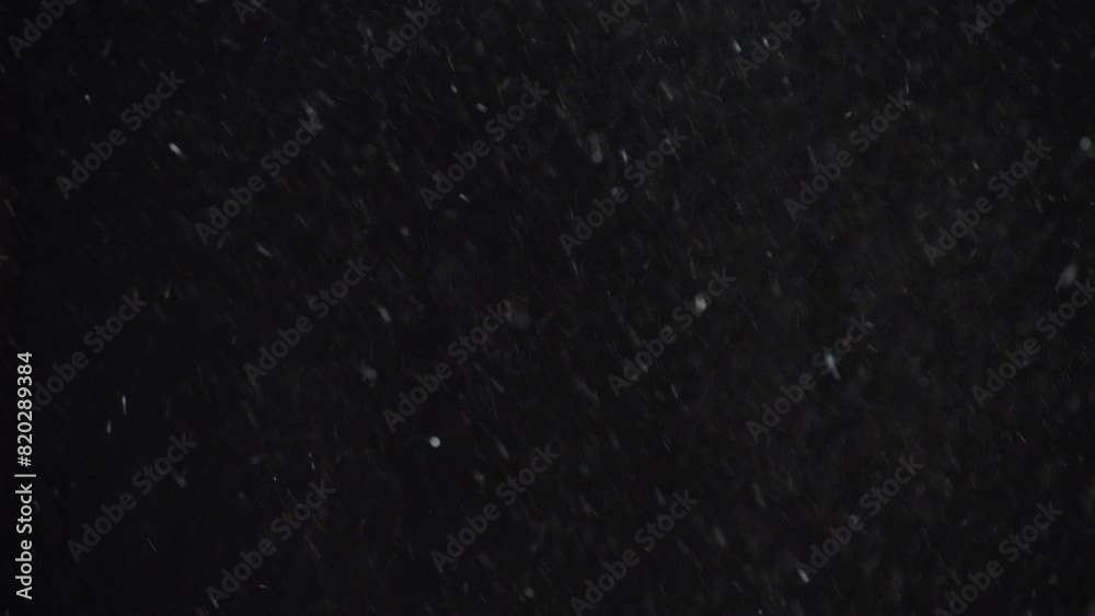 Real snow falls on a black isolated background. Small particles of snow saw fly in the wind black background abstraction.