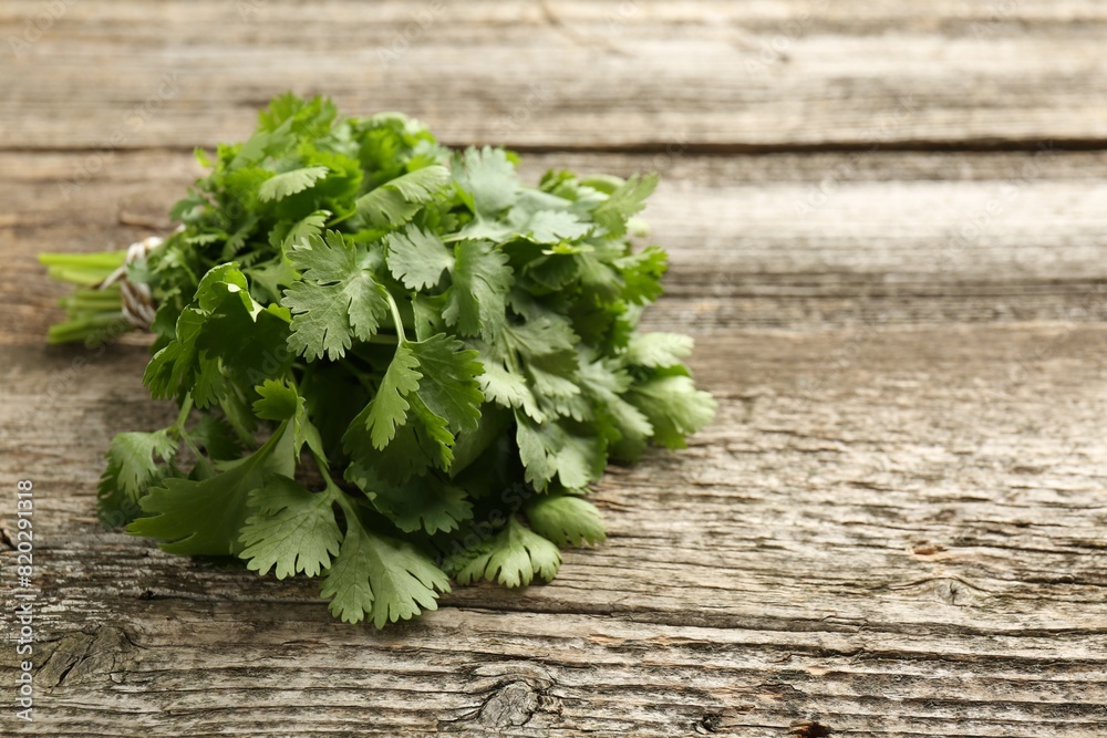 Bunch of fresh coriander on wooden table, space for text Bunch of fresh coriander on wooden table, space for text