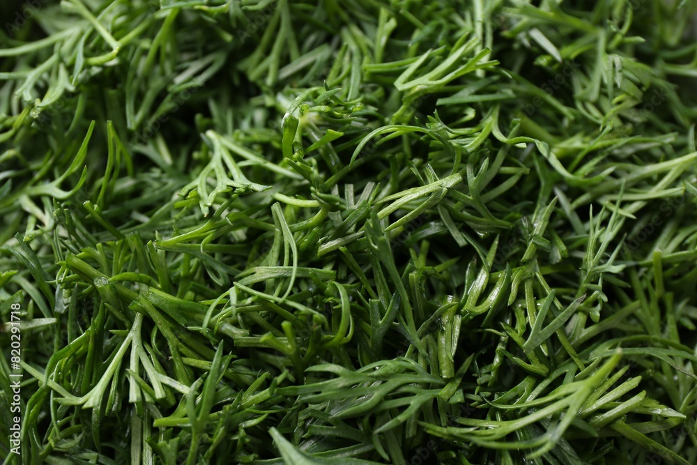 Fresh cut dill as background, closeup view Fresh cut dill as background, closeup view