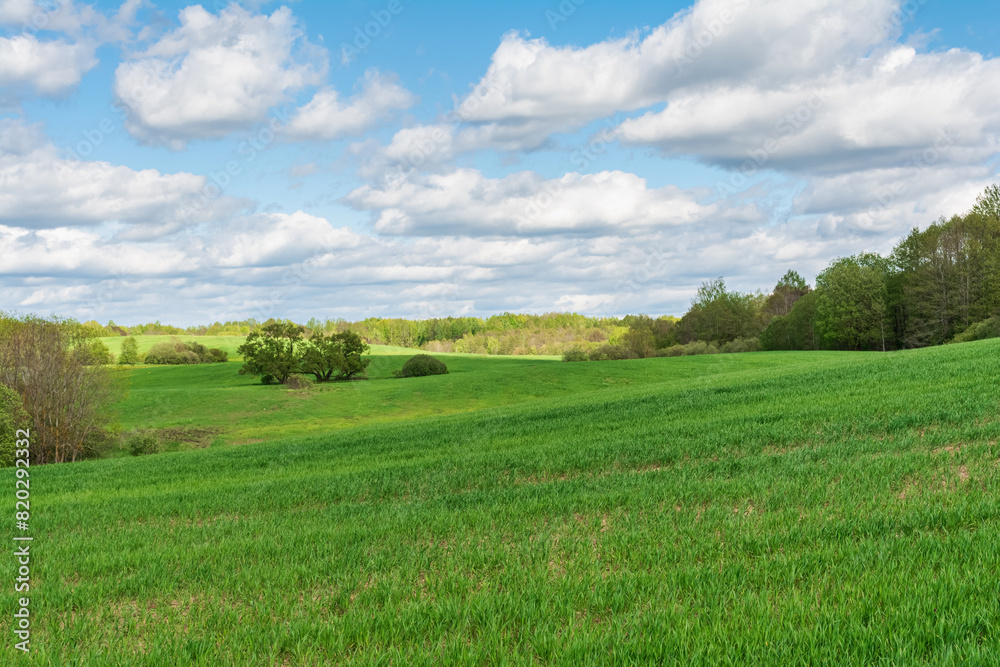 Green hilly field with trees and bushes partially illuminated by sunlight, forest on the horizon, blue sky with white clouds. Spring landscape on a sunny spring day Green hilly field with trees and bushes partially illuminated by sunlight, forest on the horizon, blue sky with white clouds. Spring landscape on a sunny spring day