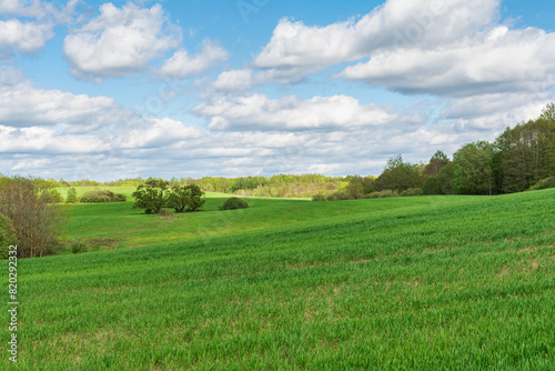Green hilly field with trees and bushes partially illuminated by sunlight, forest on the horizon, blue sky with white clouds. Spring landscape on a sunny spring day