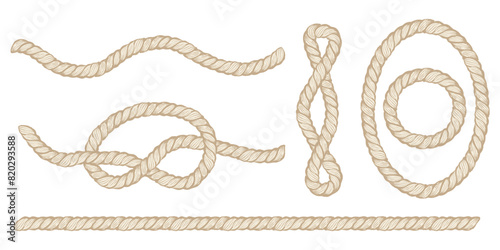 Vector set design elements with rope. Vector rope knot and frame.