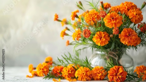 Vibrant Orange Marigold Flowers in a Glass Vase on White Background