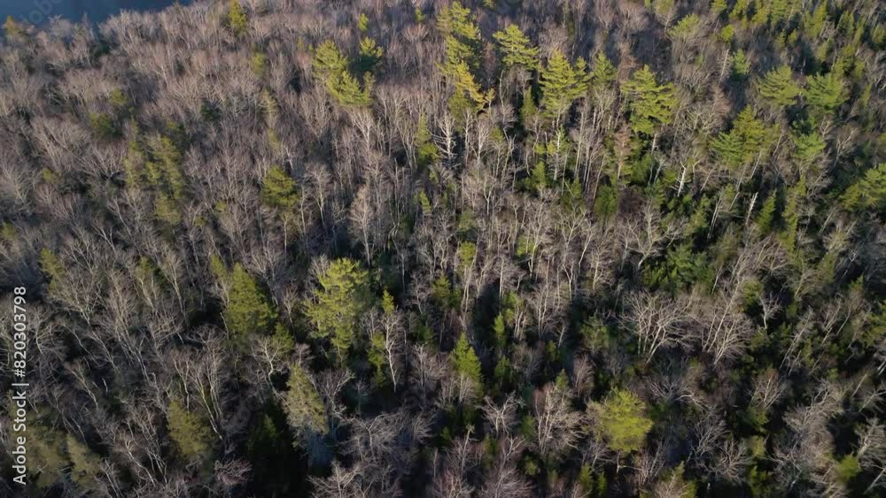 Drone panorama view of forest on a lake with beautiful sunlight in the forest at sunset, Canadian Wildlife, Nova Scotia, Halifax. Forest and lake at sunset, view from a drone. Drone panorama view of forest on a lake with beautiful sunlight in the forest at sunset, Canadian Wildlife, Nova Scotia, Halifax. Forest and lake at sunset, view from a drone.