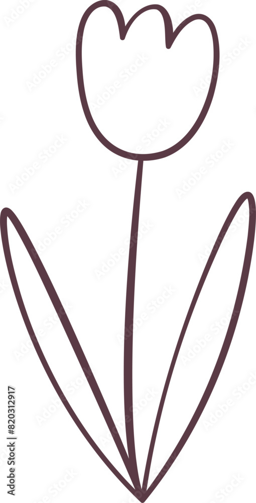 Fototapeta premium Tulip Flower Doodle