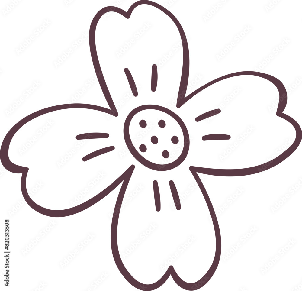 Flower Head Drawing Flower Head Drawing