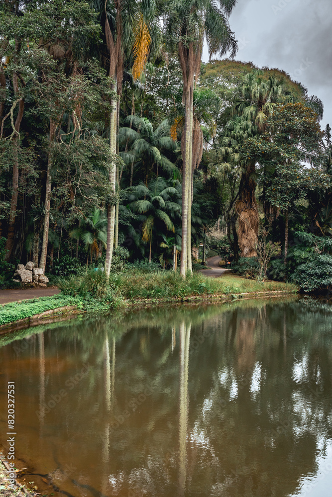 Jardim Botanic Garden. Beautiful park in São Paulo, Brazil. Jardim Botanic Garden. Beautiful park in São Paulo, Brazil.