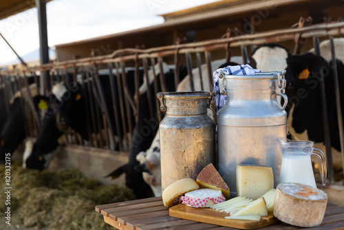 Image of fresh delicious farm dairy production laid out on the table the background with cows photo