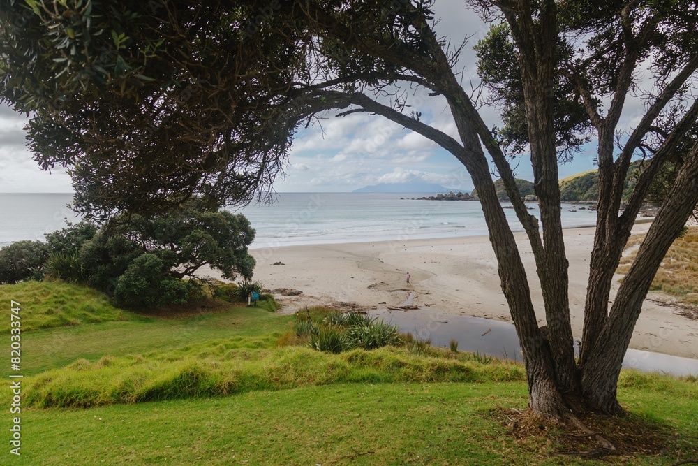 Lone person walking on a sandy beach at Tawharanui, Matakana, Auckland, New Zealand. Lone person walking on a sandy beach at Tawharanui, Matakana, Auckland, New Zealand.