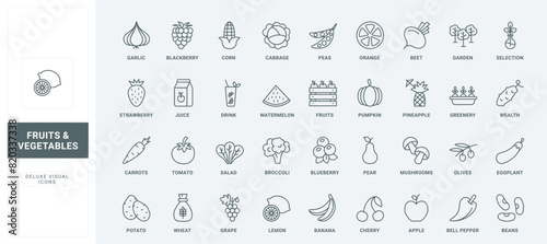 Organic harvest of tomato carrot broccoli eggplant potato pear apple cabbage thin black and red outline symbols, farm garden collection vector illustration. Vegetable, berry and fruit line icons set