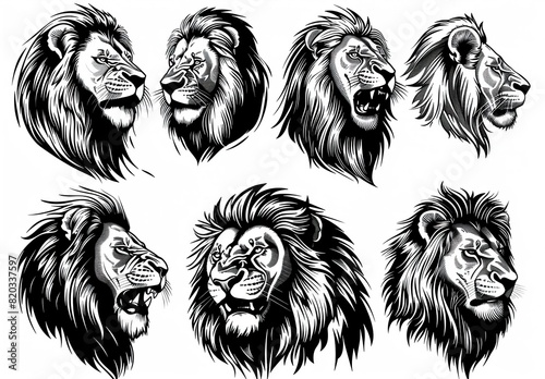 a set of black and white lion heads with long manes, featuring a variety of faces including black, white, and black - and - white photo