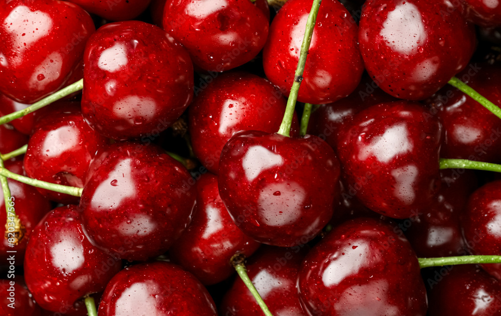 Summer Fruits. Freshly Picked Cherries. Summer Fruits. Freshly Picked Cherries.