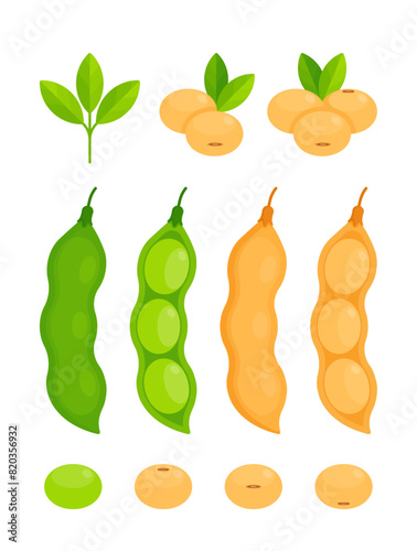 Set of whole dry and green soybeans, soy pods and leaves. Flat icon set isolated on white background. Nutrition and vegan food concept. Perfect for use in food packaging and nutritional guides