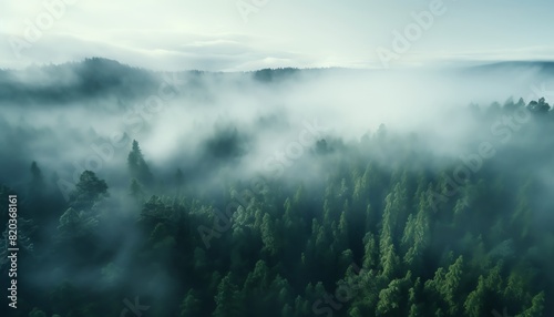 Mystical foggy forest from above.