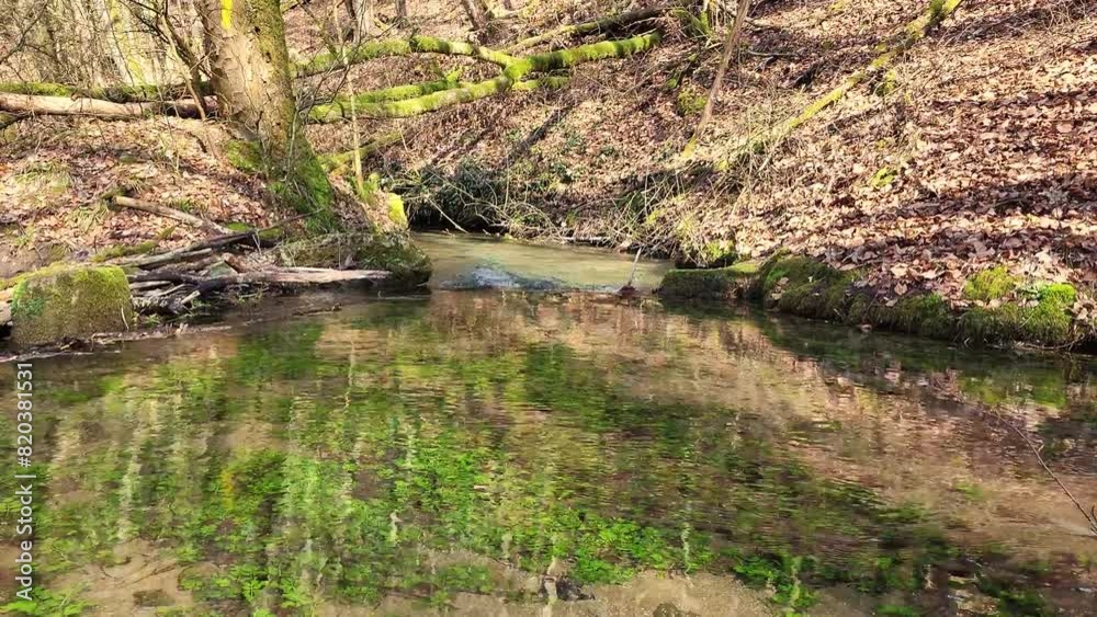 A natural scene of the Krassachauelle, a small shallow stream surrounded by vegetation and fallen leaves. This image is interesting as it captures a quiet moment in nature, showing the peaceful A natural scene of the Krassachauelle, a small shallow stream surrounded by vegetation and fallen leaves. This image is interesting as it captures a quiet moment in nature, showing the peaceful