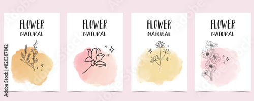 flower background with lavender,sunflower.illustration vector for a4 page design