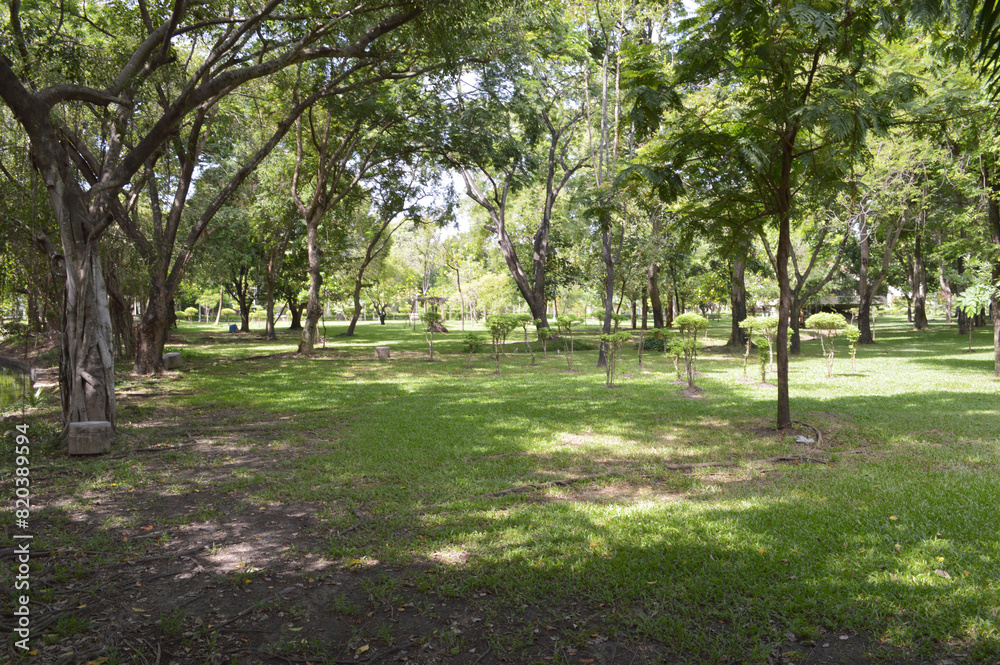 green park with trees