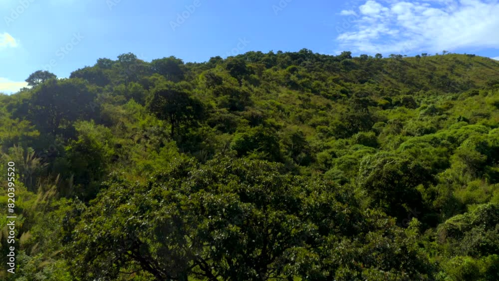Aerial View Mexican Forest Aerial View Mexican Forest