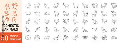 Domestic Animal editable stroke outline web icons set. Cow, goat, pig, hen, goose, horse, chicken, rooster and sheep. Vector illustration