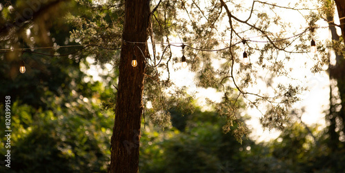 Spunky Diva Photography