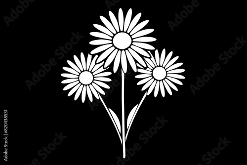 daisies flower vector silhouette illustration