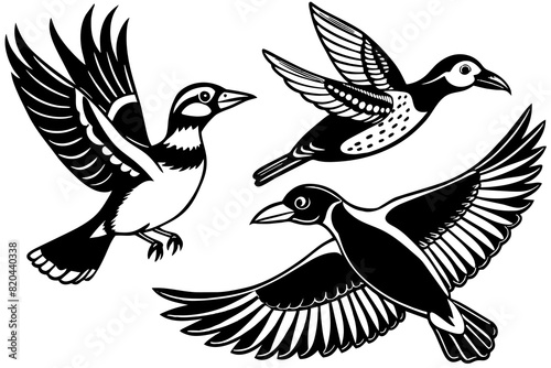 warbler oriole puffin spoonbill flying vector silhouette illustration