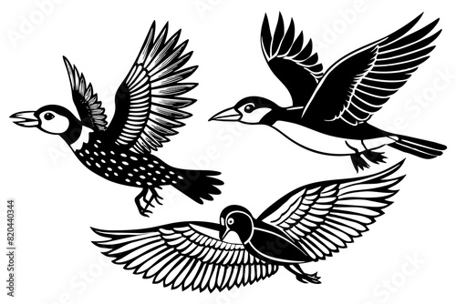 warbler oriole puffin spoonbill flying vector silhouette illustration