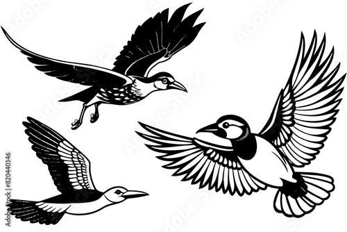 warbler oriole puffin spoonbill flying vector silhouette illustration