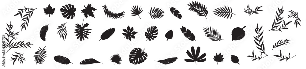 leaf silhouette leaf silhouette