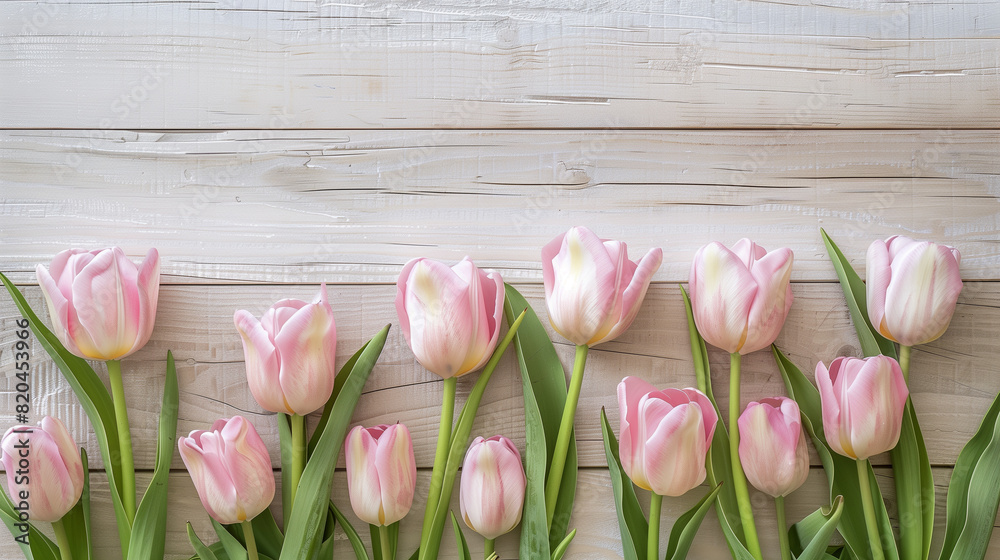 Pink tulips arranged on a wooden surface Pink tulips arranged on a wooden surface