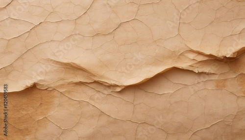 Cracked Earth Texture in Desert Landscape