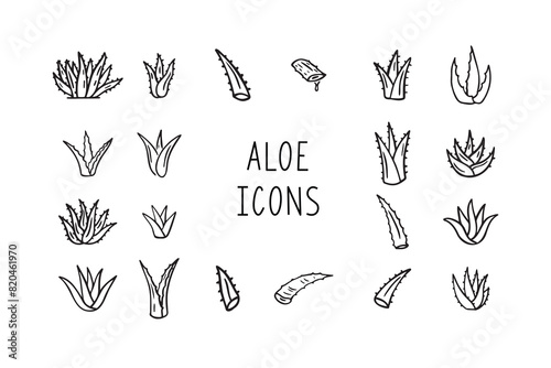 Hand drawn doodle aloe vera outline icon set