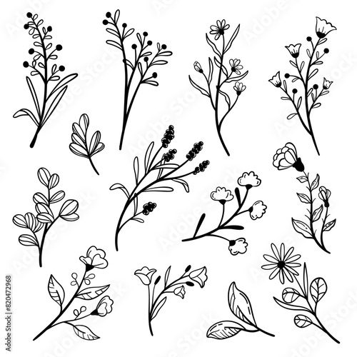 floral line art collection