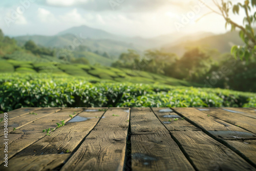 A wooden desk top with blurred background of tea plantation. Good for background 