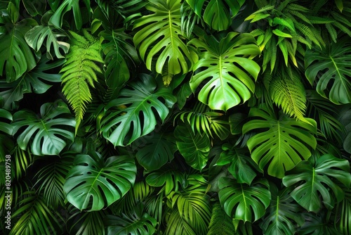 Vibrant green leaves of tropical plants artistically arranged to create a captivating nature backdrop  perfect for a serene escape.