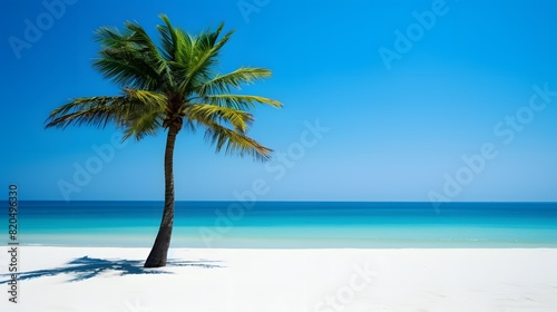 Tranquil Tropical Beach with Leaning Palm Tree