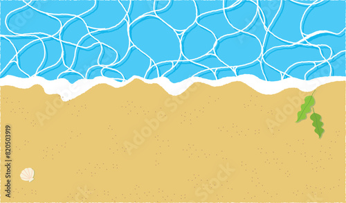 わかめと貝のある波打ち際