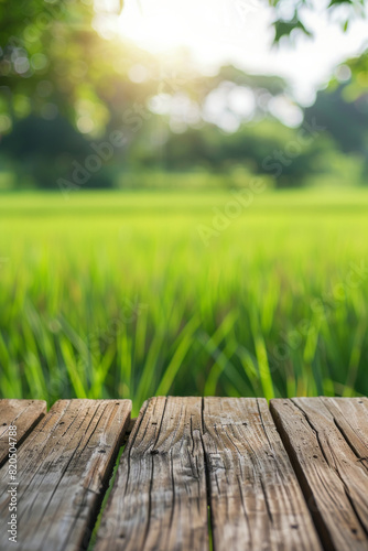 A wooden desk top with blurred background of paddy field. Good for background 