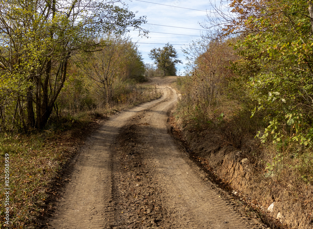 dirt road leading to the forest, autumn motif and the state of nature dirt road leading to the forest, autumn motif and the state of nature