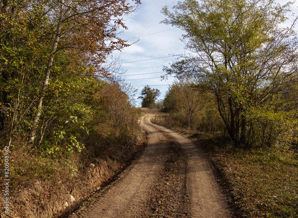 dirt road leading to the forest, autumn motif and the state of nature