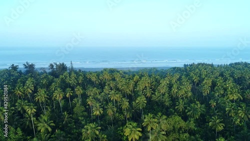 tropical forest with beach, beach drone shot, 