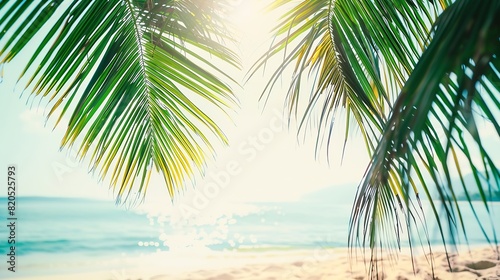 The leaves of palm trees on Sunny tropical beach  Summer vacation and tropical beach background concept : Generative AI photo